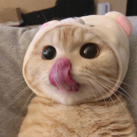 GuGuMur