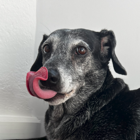 Guilherme Matheus Costa