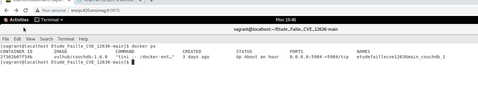 Status_Docker