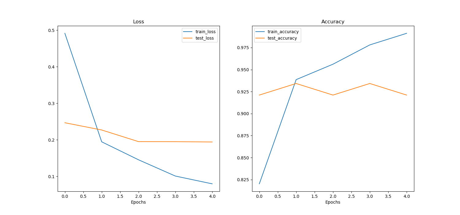 test_loss_accuracy_plot.png