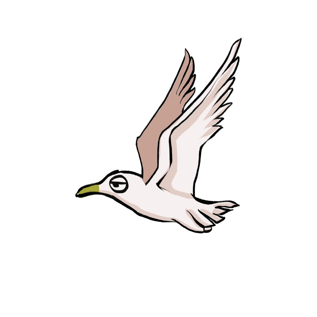 Seagull_1.png