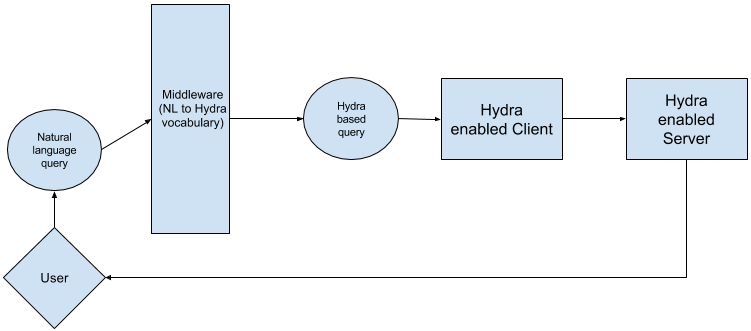 A Detailed Introduction to Hydrus
