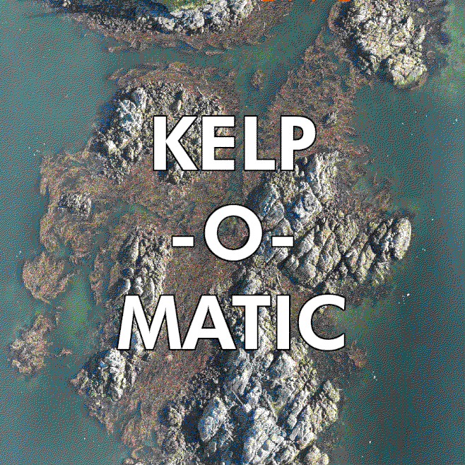 kelp_o_matic_smaller.gif