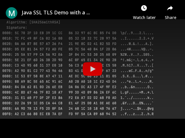 Java SSL TLS Demo with a server and a client application