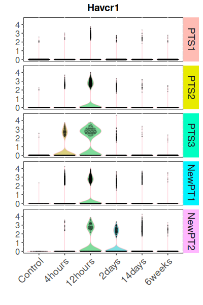 vlnplot_single.png