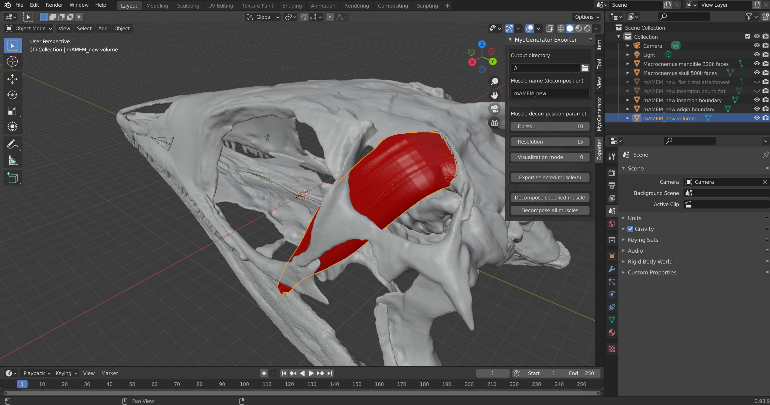 Blender-muscle-decomposition-1.png