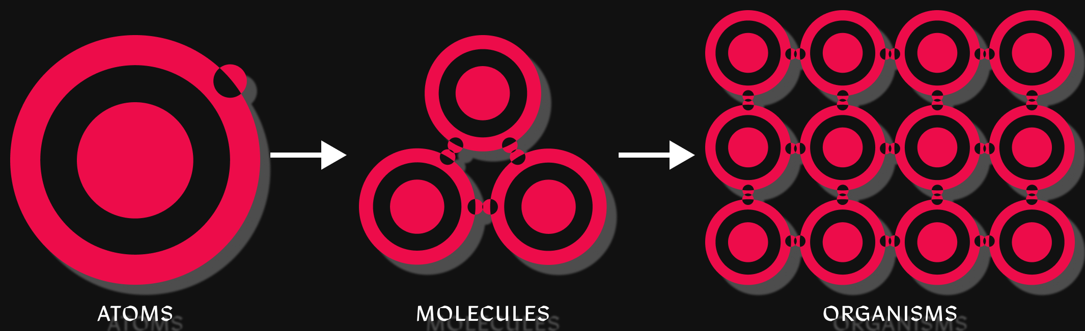 atoms-molecules-organisms