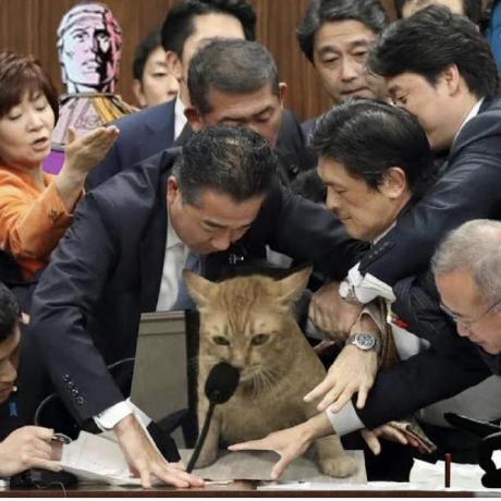 驿使