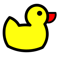 duckdns.png