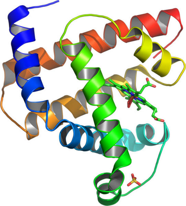 protein2.jpg