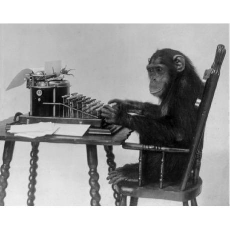 InfinityMonkeyAtWork