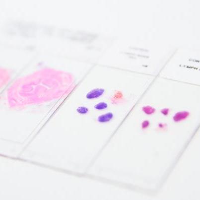 IntegratedPathologyUnit-ICR