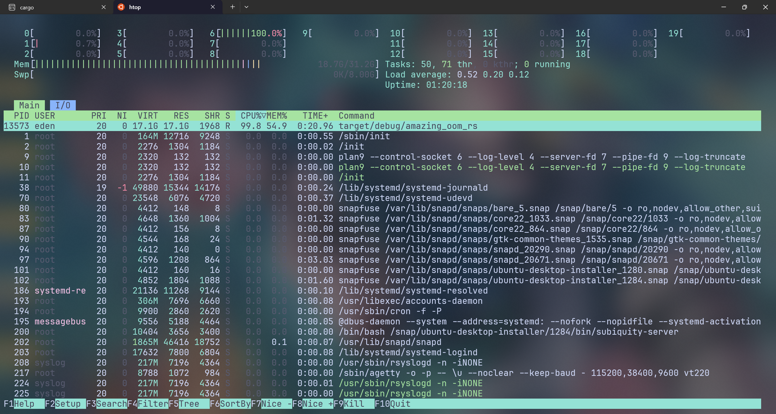 htop.png