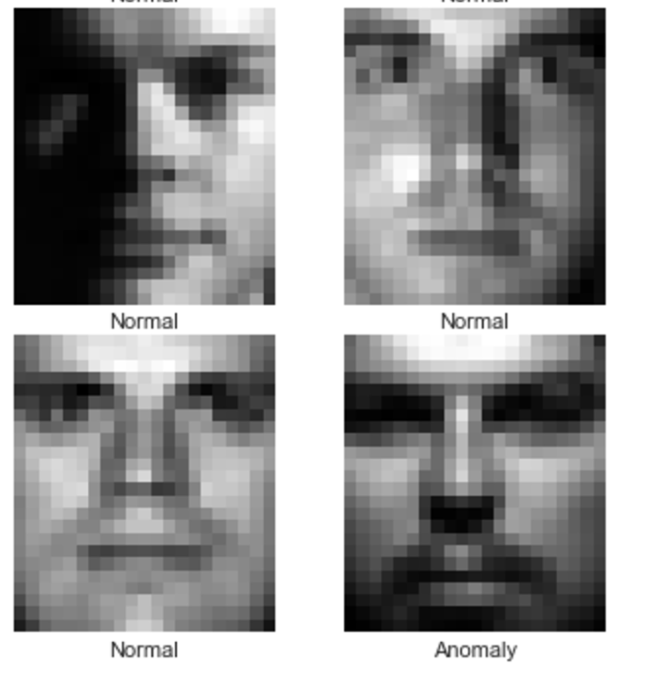 dataset_faces.png