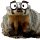 JBraunsmaJr