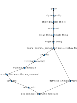 dog-graph.png