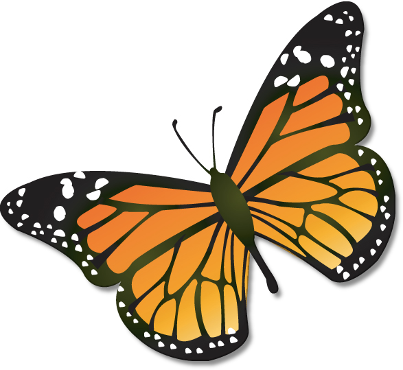 Monarch_butterfly_USGS.png