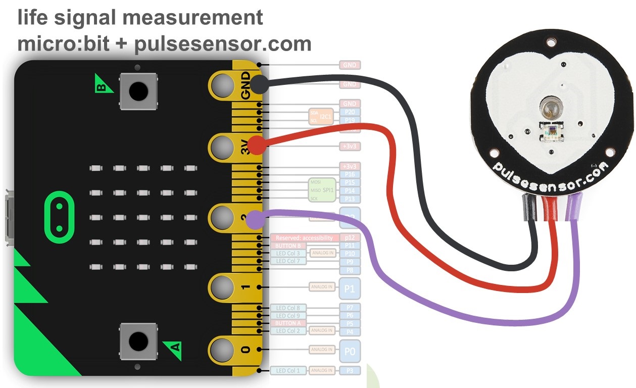 Connection of micro:bit and pulsosensor