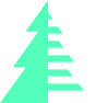 timber-icon.png