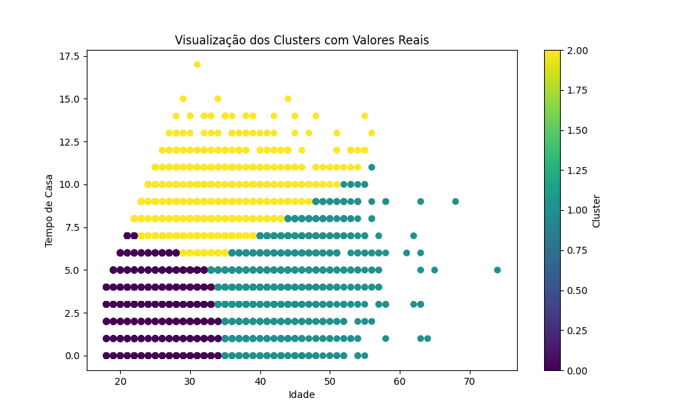 visualização_dos_clusters_com_valores_reais.png