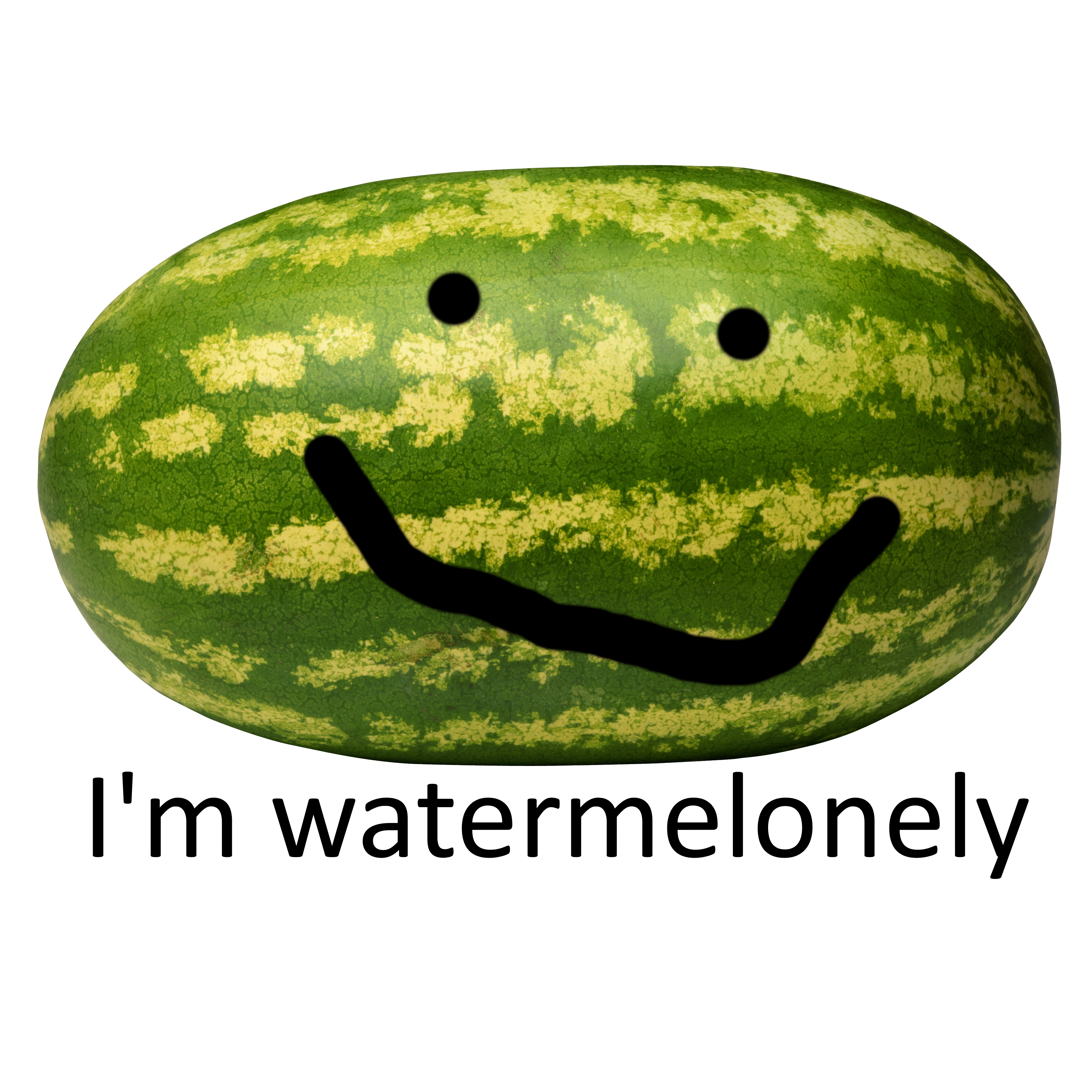 watermelonely.png