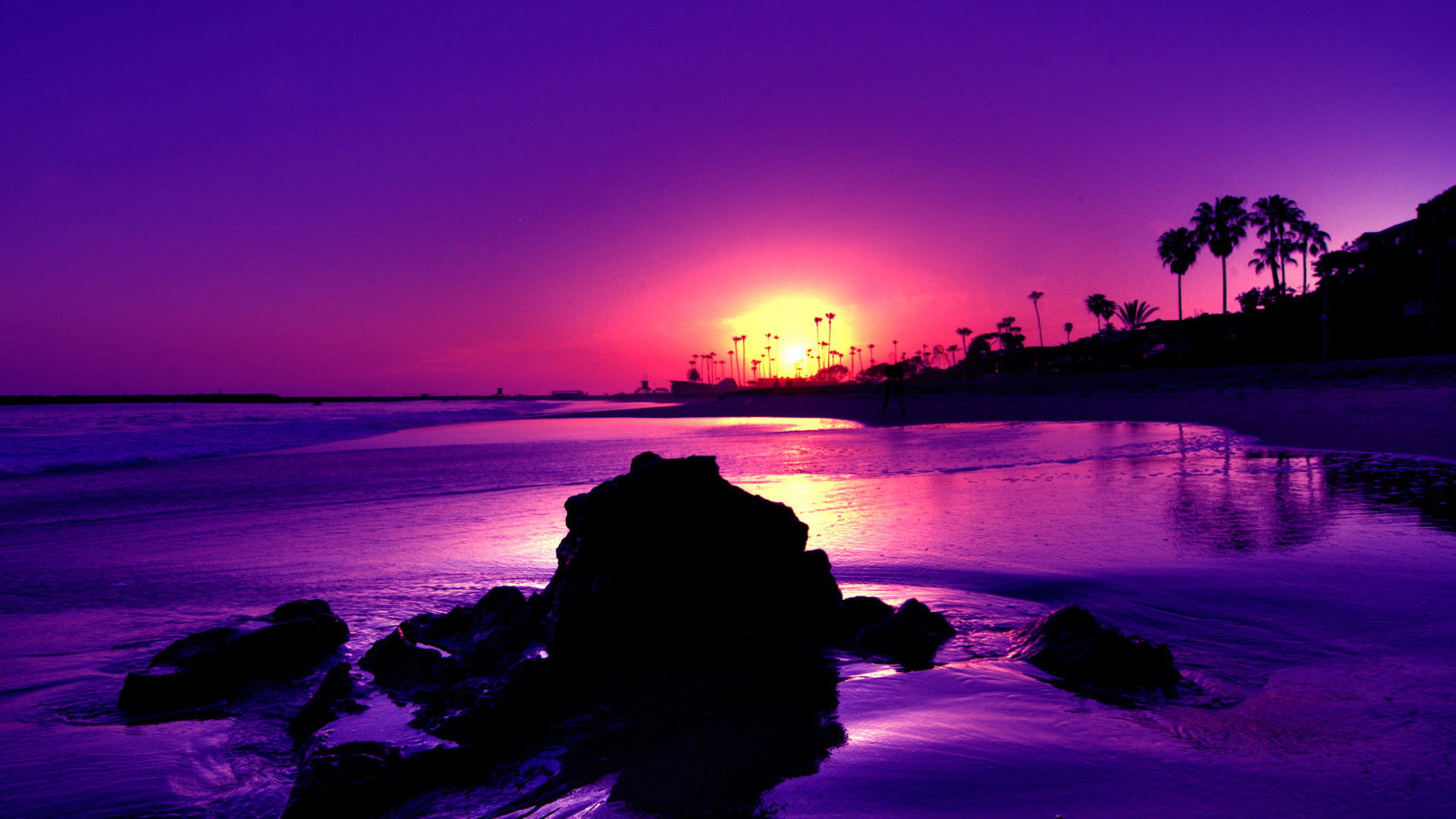 purple-shore.jpeg