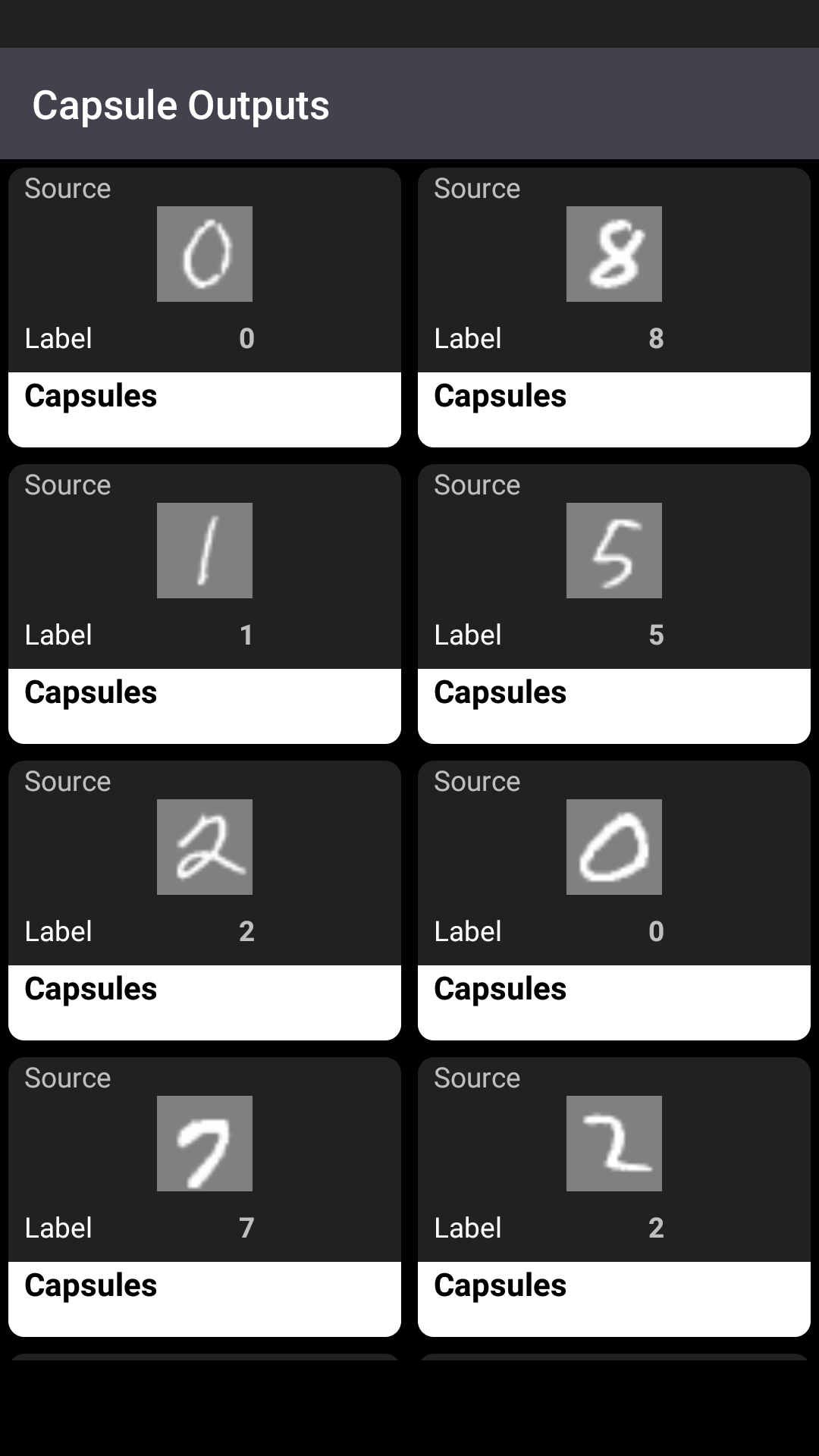 capsule_outputs.png