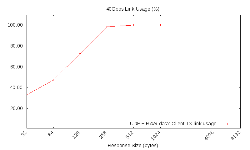 udp_raw_link_usage.png