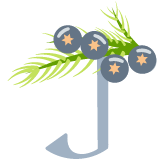 juniper_logo.png