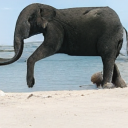 A large black elephant walking on the beach_1.png