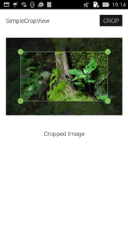 SimpleCropView.gif