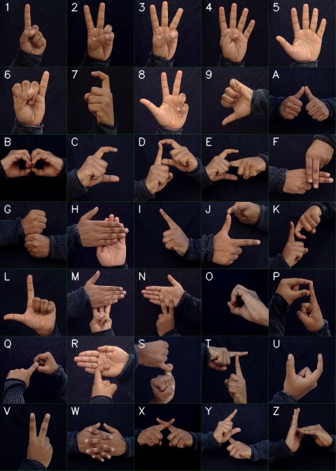 all_gestures.jpg