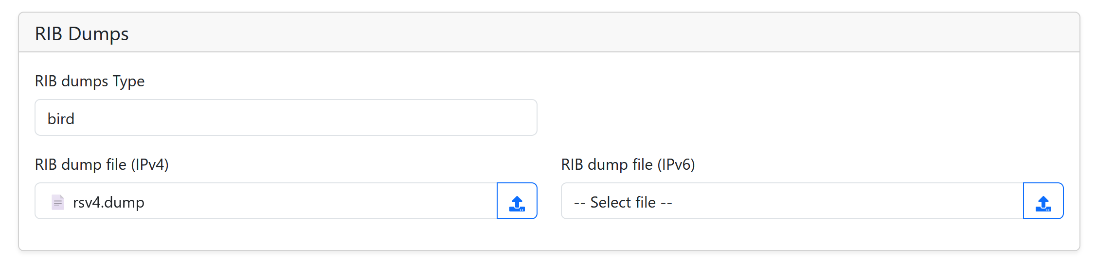 RIB dump configuration section