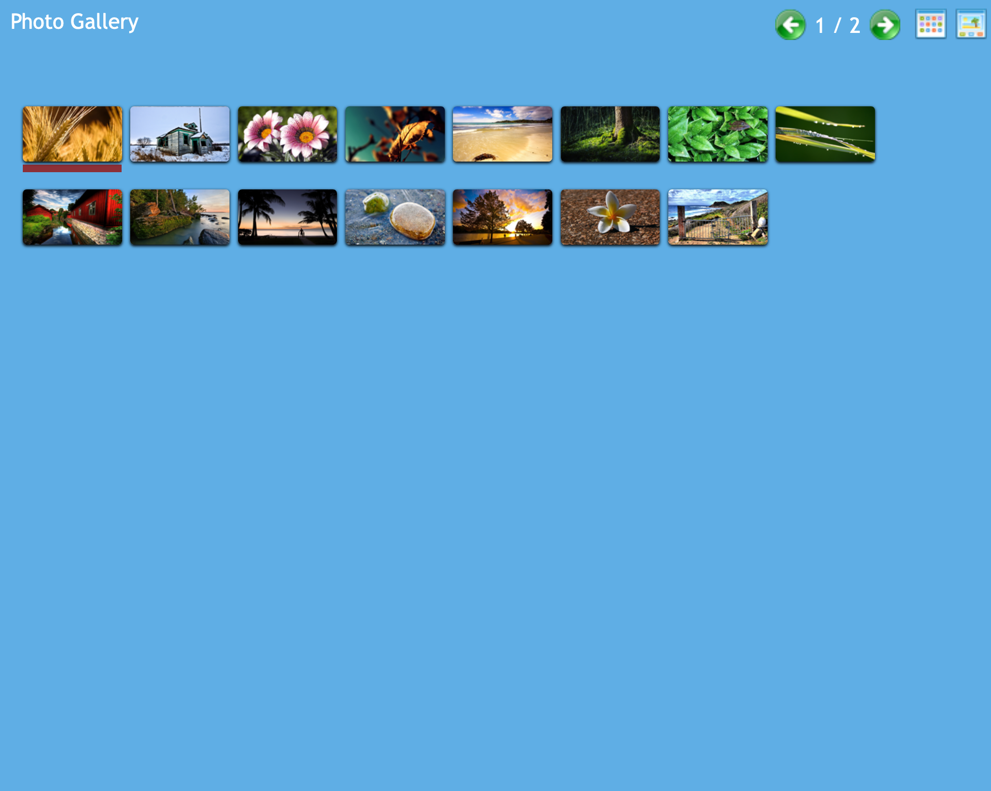 Gallery-Grid-View.png