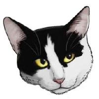 KittyCatTech