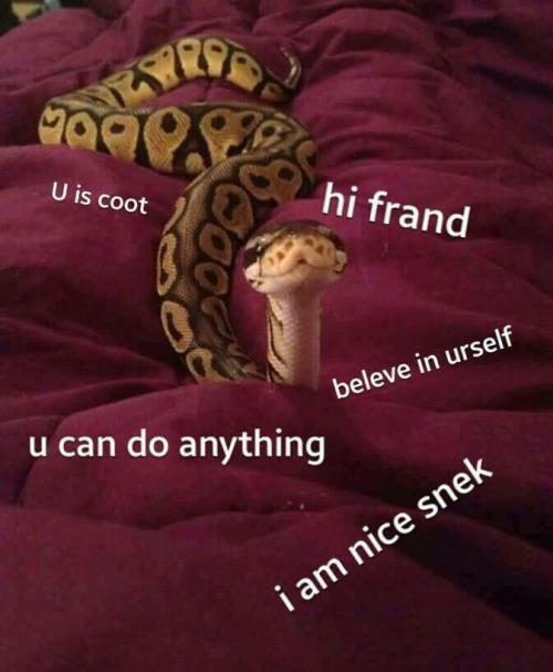 snake.jpg