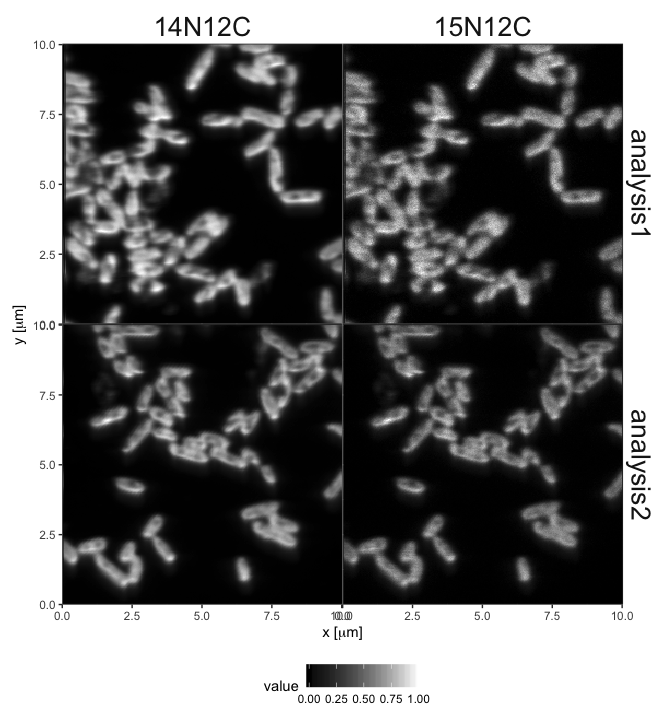 README-ion_maps_example-1.png