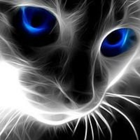 discusser-avatar