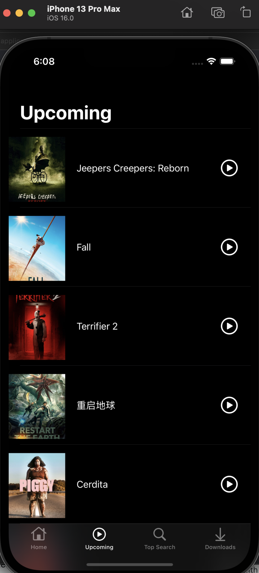 RepliFlix overview2.png