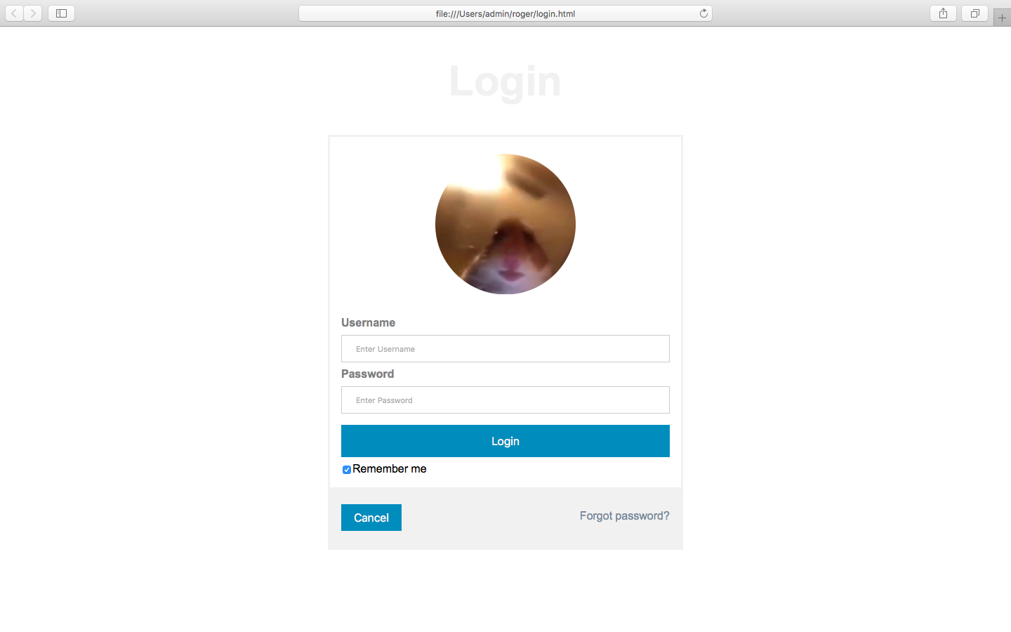 login_page.png