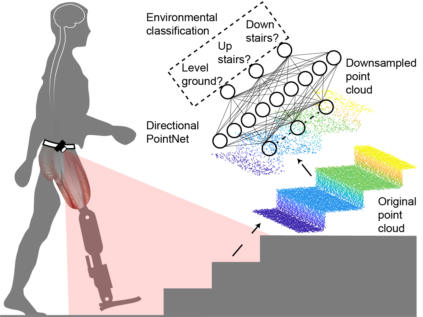 Directional-pointnet.jpg