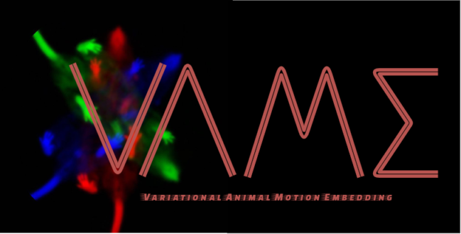 VAME_Logo-1.png
