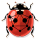 LadybugDB