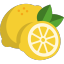 LemonAppDev