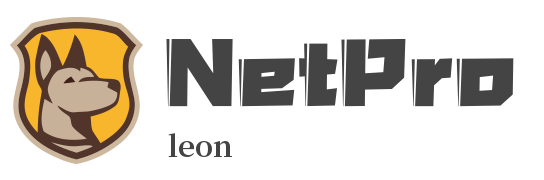 netpro2.png