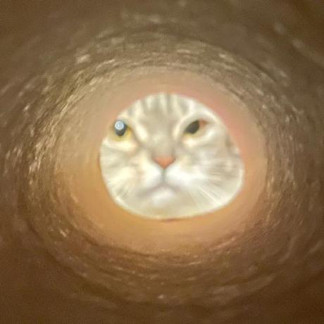 LiukScot
