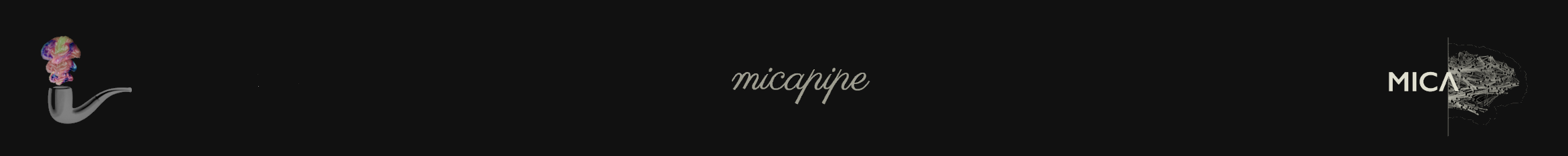 micapipe_long.png