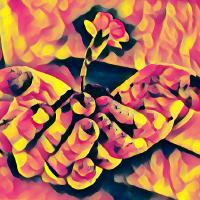 Mandelhoff
