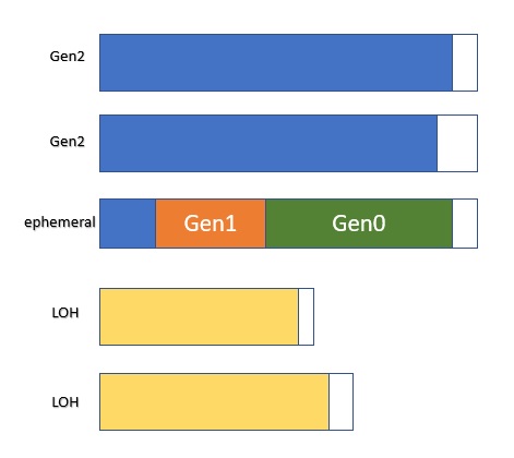 segments.jpg