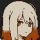 Maple241